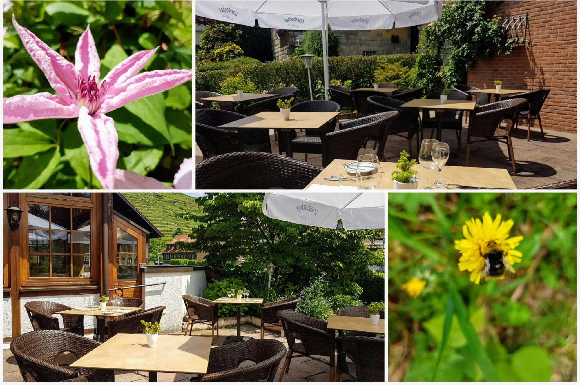 Hotel Altenberg บาเดน-บาเดน ภายนอก รูปภาพ